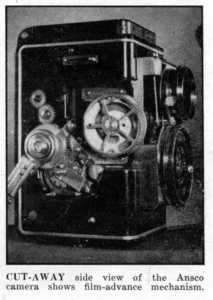 cutaway